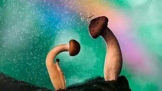 Yggdrasil - Don't Feed the Toadstools II [Visualization]