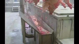 HYTT vacu&uuml;m transport roodvlees slachtafval &ndash; HYTT vacuum transport system red meat slaughter waste
