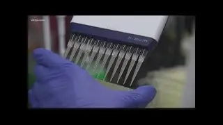 Beyond the Headline: Confusion over coronavirus testing