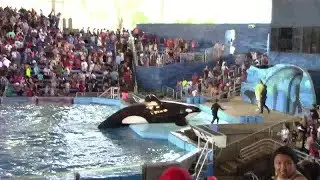SeaWorld San Antonio June 2018/Killer Whales Up Close Shows/Sea World San Antonio Texas USA part 01