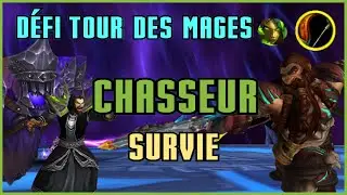 Défi Chasseur Survie - Tour des Mages - World of Warcraft