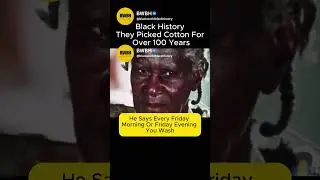 Black History : They Picked Cotton For Over 100 Years''  #blackhistory  #america #shorts #history