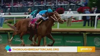 GDL: Thoroughbred Aftercare Alliance Discusses How They Help Support Equine After Derby