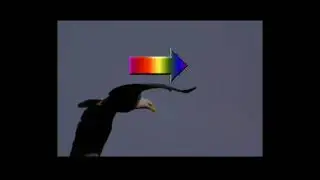 Wings of an Eagle - Russell Morris - Karaoke