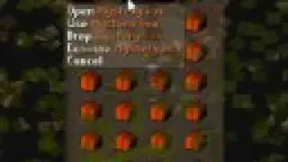 runescape see whats inside 33 mystery box's