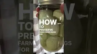 How to preserve eggs for 6-18 months! 🥚 🥚 🥚