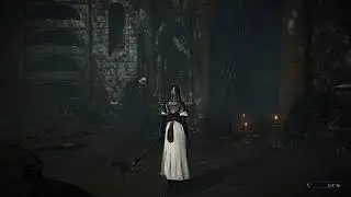 Nightreign runs