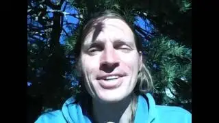 YL CGRISING CHARACTER CLASSES