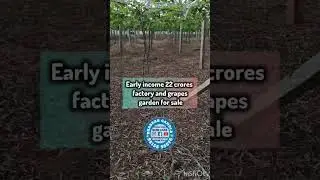 WINE FACTORY WITH GRAPE GARDENS FOR SALE  || IN BANGALORE!