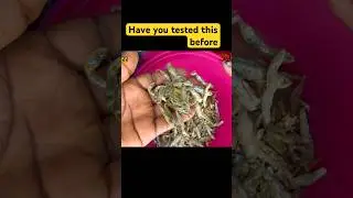 Have you tried this before??let&rsquo;s fry silver fish.#fish recipe.#Uganda.#Africa