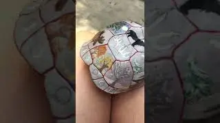13 moons on a turtles back