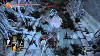 DARK SOULS&trade; III Knight Slayer Tsorig / Убийца рыцарей Цориг