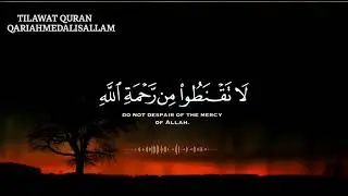 نصف ساعة من السكينة وراحة البال 😌💚 #quran #القرآن_الكريم