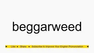 How to pronounce beggarweed