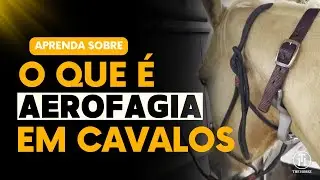 Dra. Tamires explica o que &eacute; Aerofagia em Equinos