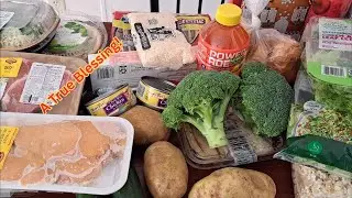 Food Bank Haul 3 Bags | Groceries, Produce, Meat & Pantry Items
