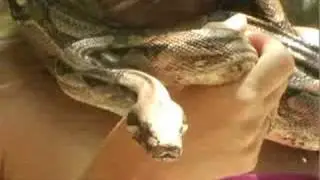 Crococun Zoo