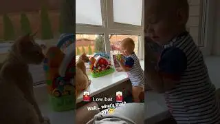 Baby Meets Cat for the First Time 😍 This Smile Is Everything!