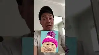 Our social media strategy for launching hats for cats