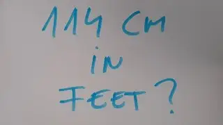 114 cm in feet?
