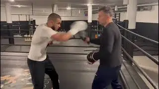 Boxing pads Adel Belalia 