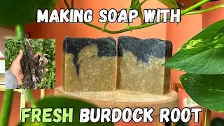 how to use fresh&nbsp;burdock root&nbsp;for acne and skin care
