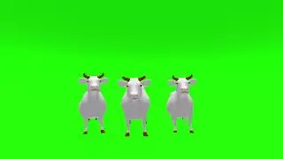 Green Screen Clips - 3 Cows Walking on the spot