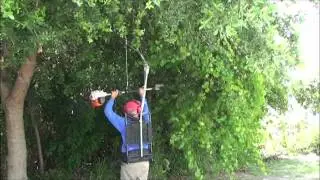 Using the Easy Lift Harness