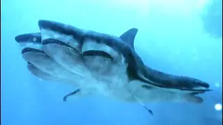 5 Headed Shark Attack Sci Fi