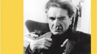 Cl&eacute;ment Rosset, LE COMMANDANT DU COMIQUE ET SON ACTIF SECOND (sur Emil Cioran)