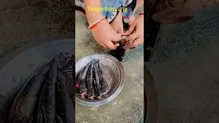 Tangra fish cury #tangrafish #tangramacherjhal #fish #food #ytshorts #viral #tranding #2024 #newyear