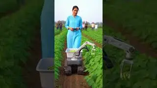 Smart Legume Pods Harvester Robot &mdash; Precision Farming Revolution #agriculture #robotics #innovation