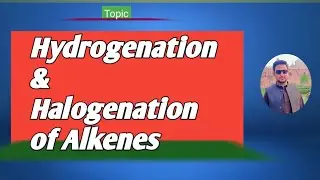 lec#11 Catalytic Hydrogenation of Alkenes || Halogenation of Alkenes || #mechanism