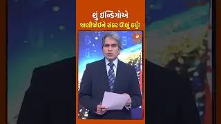 શું ઈન્ડિગો એરલાઈન્સે જાણીજોઈને સંકટ ઊભું કર્યું?