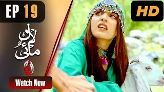 Pakistani Drama | Lal Mai - Episode 19 | Aaj Entertainment Dramas