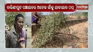 Old canal bridge collapses in Koraput&rsquo;s Jeypore, communication disrupted | Kalinga TV