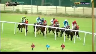 SHAMROCK WIN THE MYSORE ANNIVERSARY CUP 🏆🏆