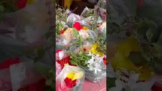 kapilash mandir 🙏