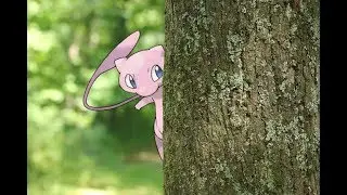 Every First Generation Pokemon