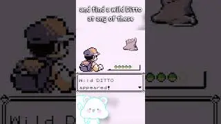 Шайни-охота в Pokemon: Generation 2 &mdash; трюк с шайни-дитто