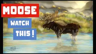 My process for digital wildlife paintings