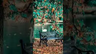 #instrumental #flute #bestbackgroundmusic #cover #flutebackgroundmusic #coversong #copyrihtfreemusic