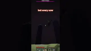 the SAFEST way to kill the ender dragon! #minecraft