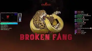 EVERY SKIN IN NEW CSGO OPERATION | OPERATION BROKEN FANG