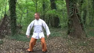 DAO YIN yang shen gong