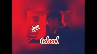 tebeol fgui