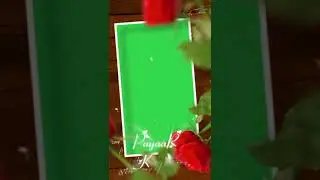 Rose love green screen effect | Green screen flower video | Green screen shorts