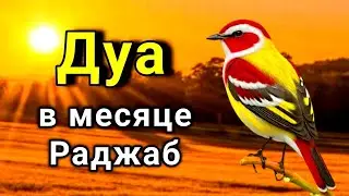 ☝️Очень действенная молитва в месяце Раджаб: «Да простит Аллах наши грехи и примет наши добрые дела»