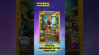 💪 5 NEW WILD CAT HEROES Revealed in Beta V78.4! | Empires & Puzzles 🔥