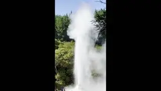 Lady Knox Geyser